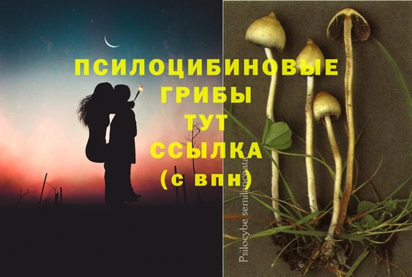 мяу мяу мука Покров
