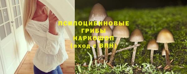 спайс Надым